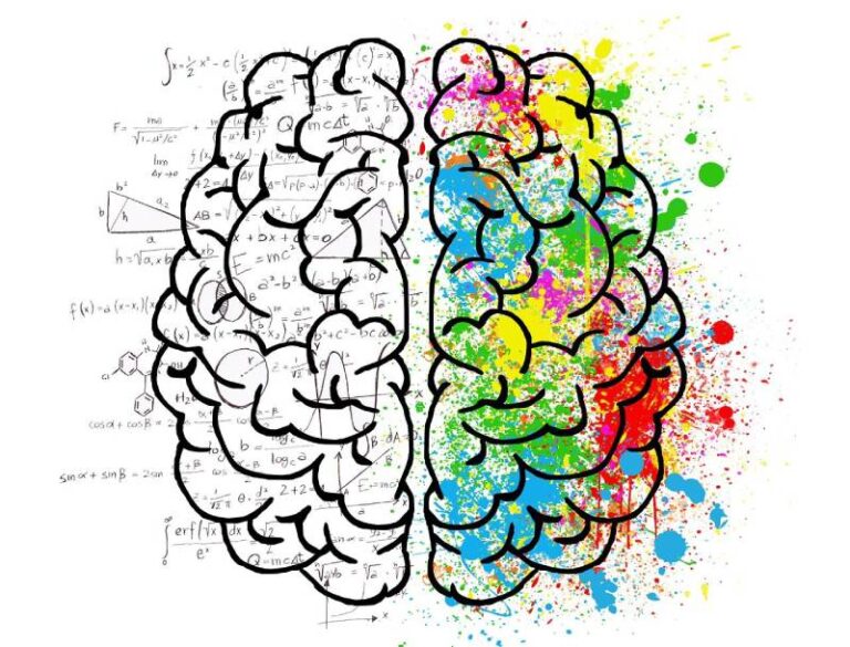 Graphic of the two hemispheres of the brain. Right side in black and white and the left side in colour. Right side for logic and mathematics, left side for language, arts and emotions